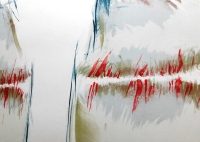 Šerých-Proměněný detail