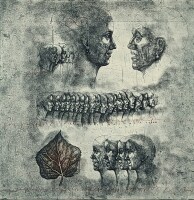 Anderle-List II