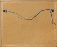 Suchánek rozhraní záda