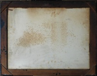 Malý Vyšehrad záda