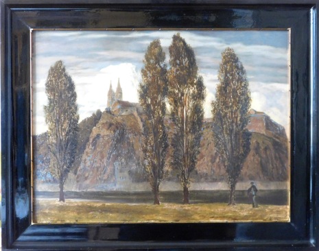 Pošmourný den pod Vyšehradem